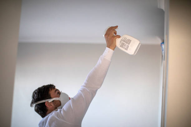 Best Professional Mold Removal  in Danville, IA