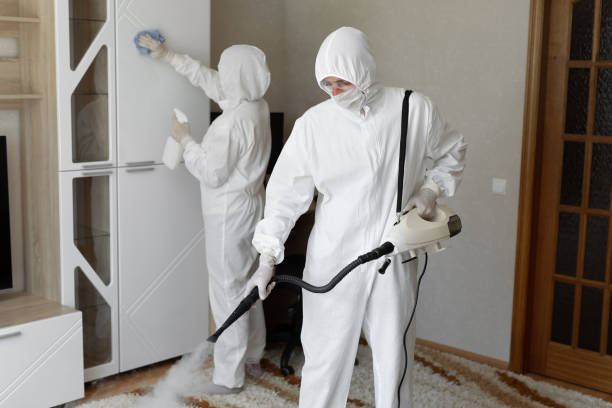 Best Attic Mold Removal  in Danville, IA
