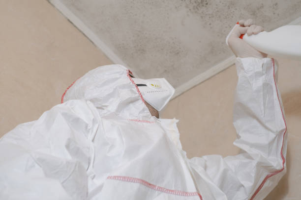 Best Local Mold Removal Service  in Danville, IA