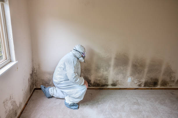 Best Mold Testing  in Danville, IA